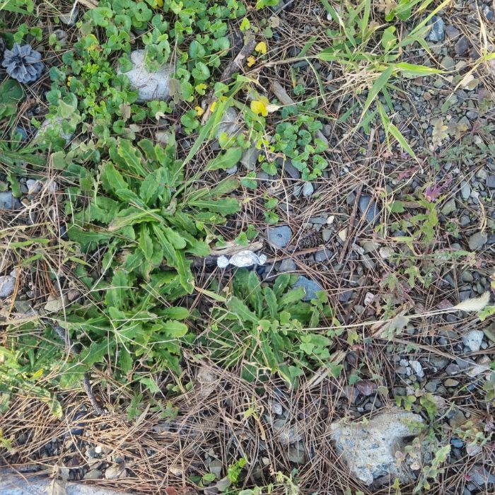 주전보밑 연안 해양체험공원 정화 사진