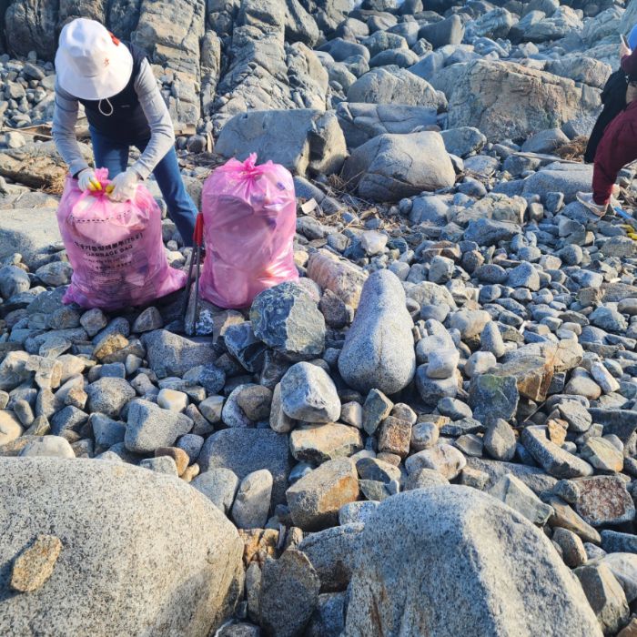 과개안해수욕장 정화 사진
