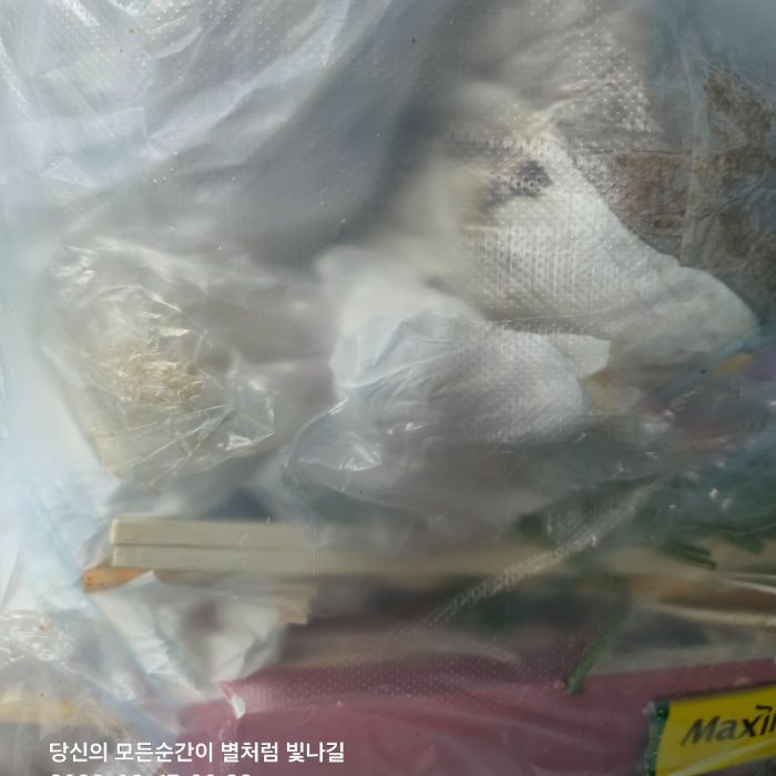 송기태 사진 2
