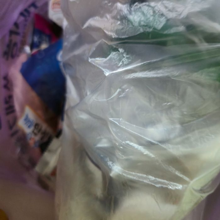  춘천시.동네.쓰레기.플로깅