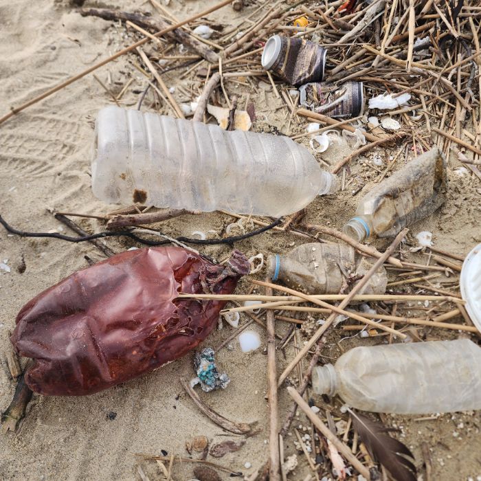 매바위공원해변 정화 사진 19