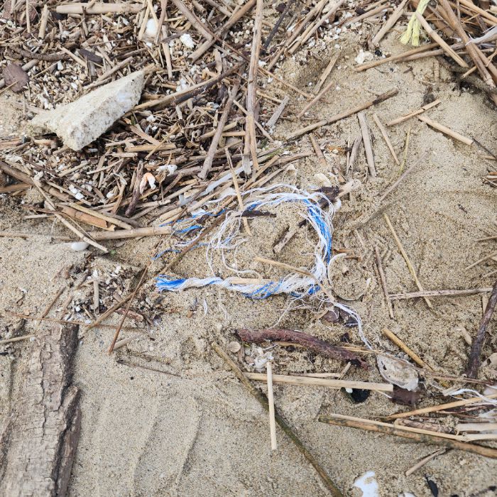 매바위공원해변 정화 사진 21