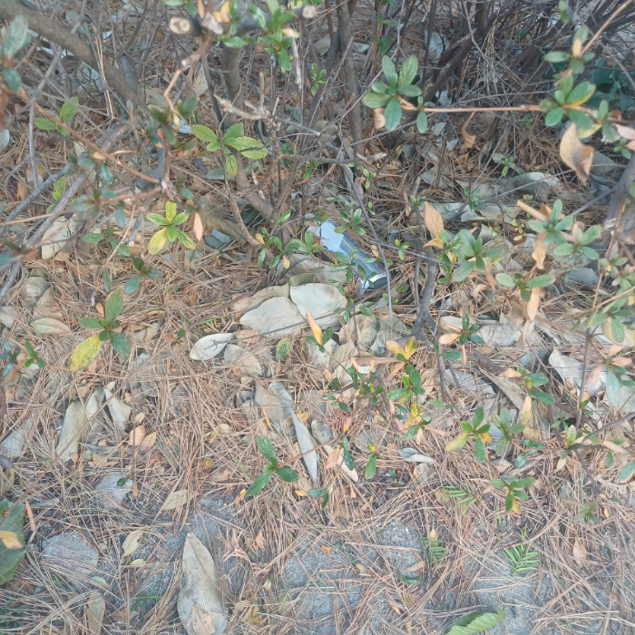  창원시.동네.쓰레기.플로깅