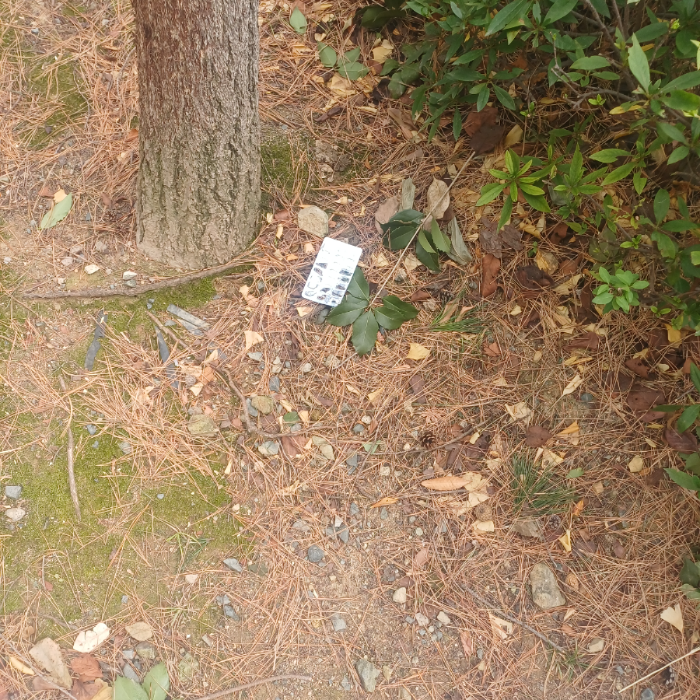  창원시.동네.쓰레기.플로깅