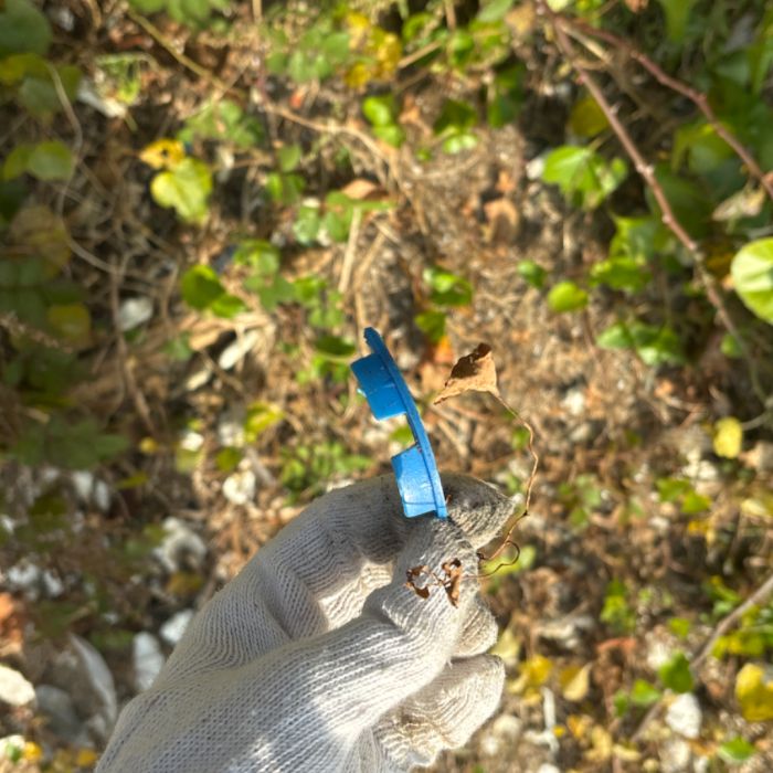 오이도해변 정화 사진 7