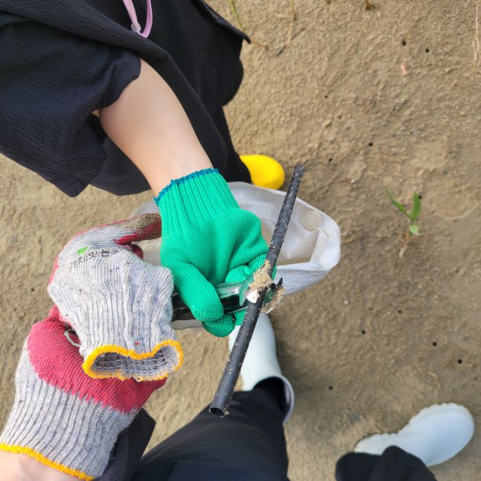 송림해변 정화 사진 8