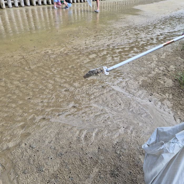 송림해변 정화 사진 11