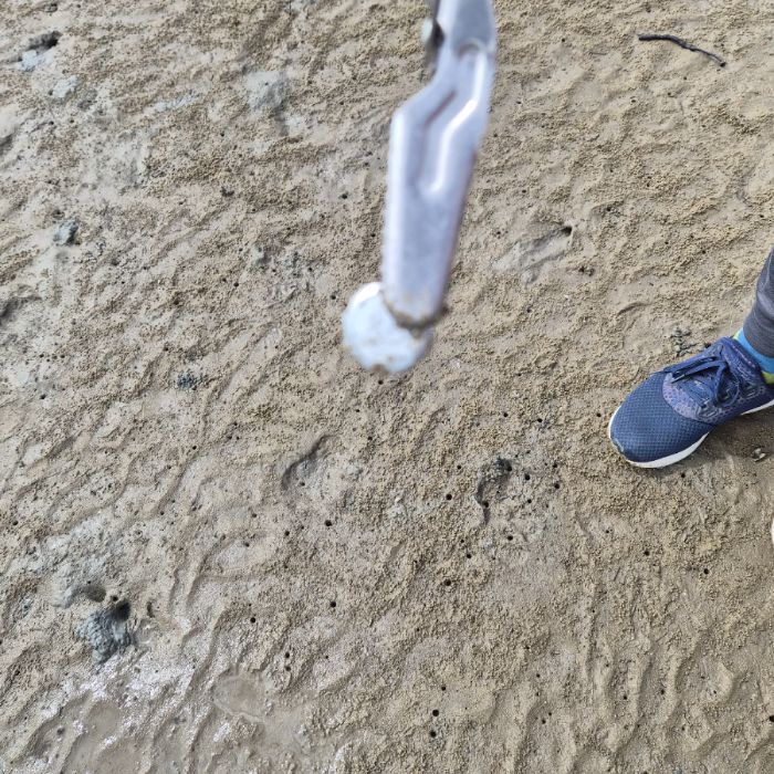 송림해변 정화 사진 18