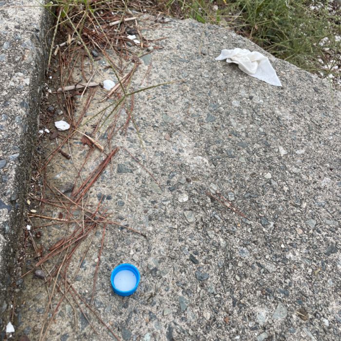 이어리해변 정화 사진