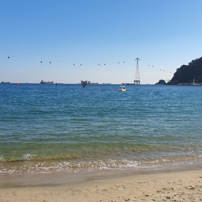 송도해수욕장 정화 사진