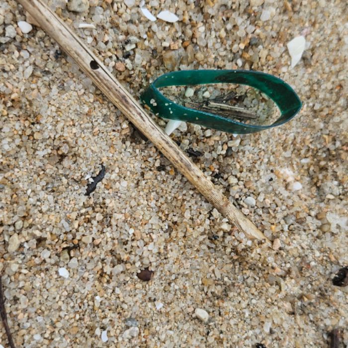 마시안해변 정화 사진 15