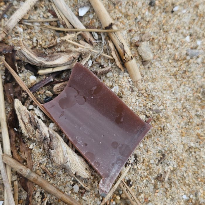 마시안해변 정화 사진 19