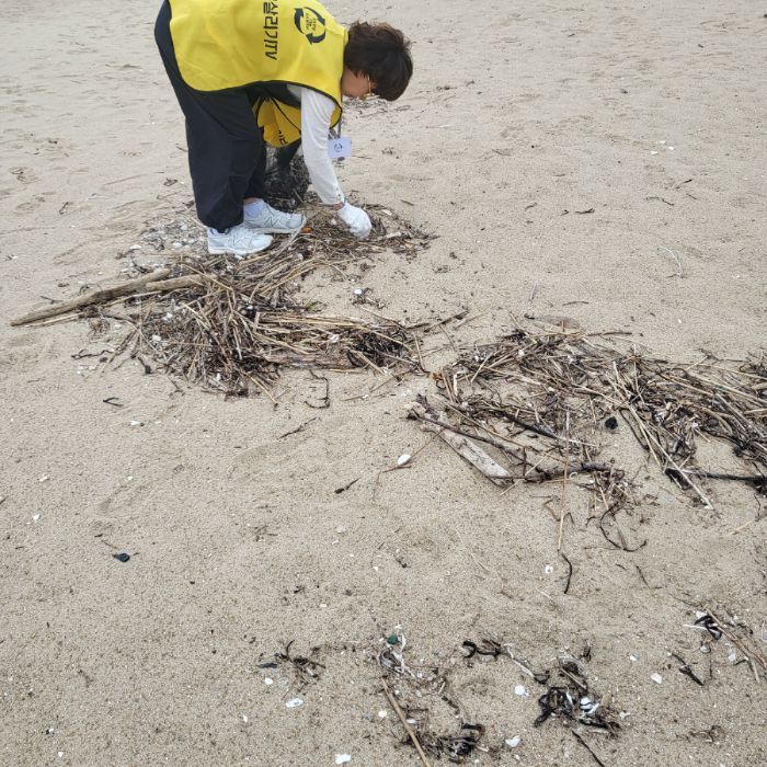 마시안해변 정화 사진 3