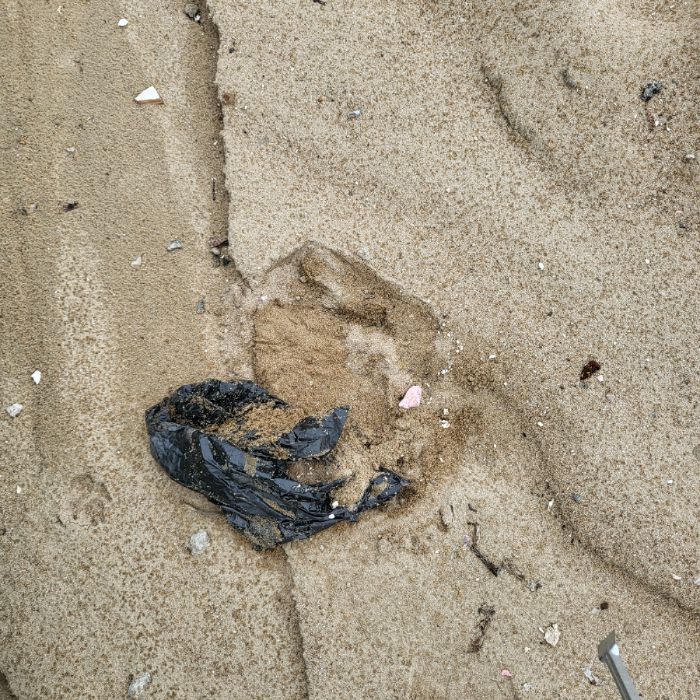 마시안해변 정화 사진 7