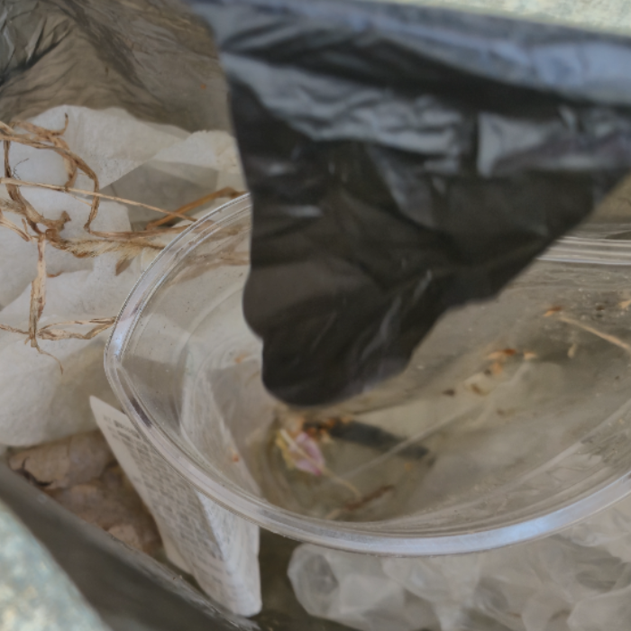  창원시.동네.쓰레기.플로깅