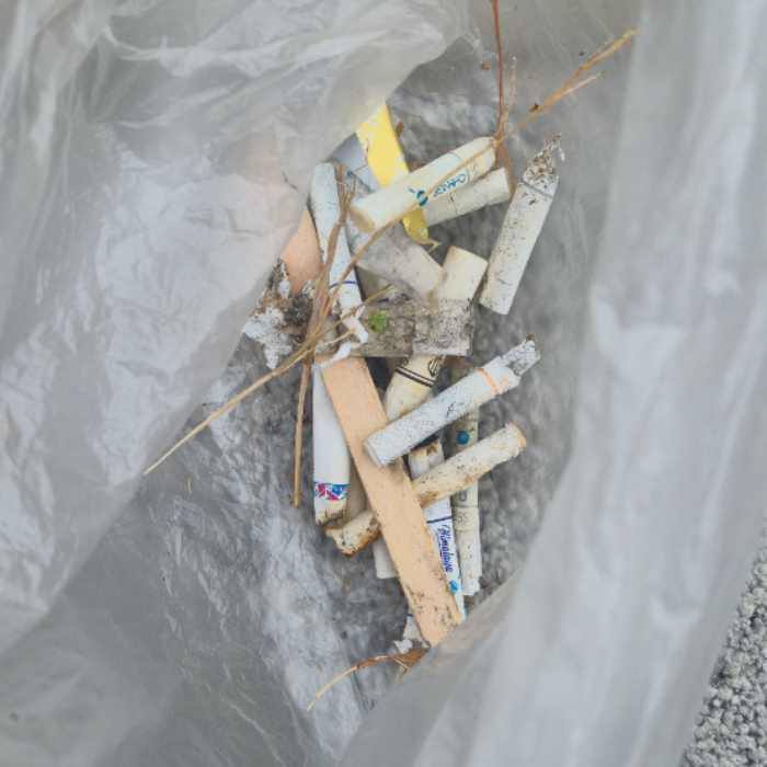  창원시.동네.쓰레기.플로깅