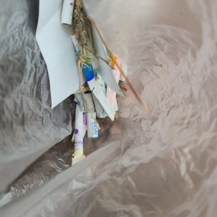  창원시.동네.쓰레기.플로깅