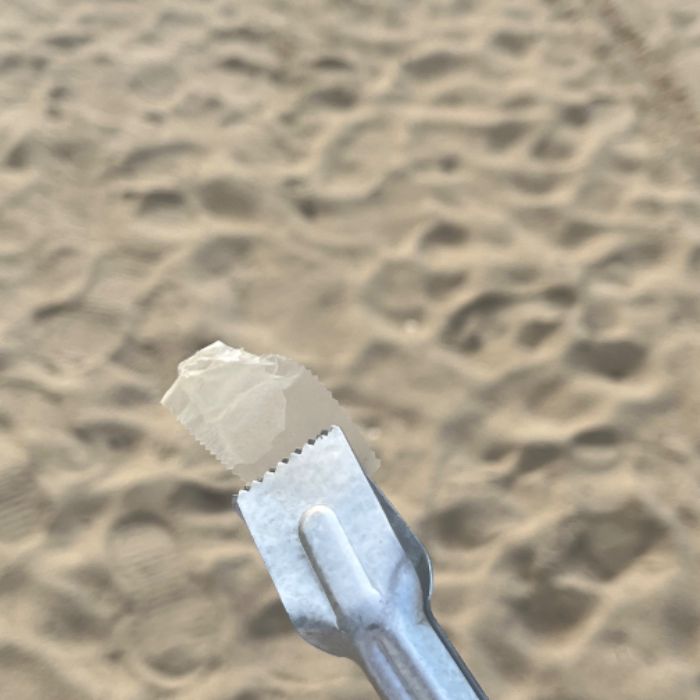 방아머리해변 정화 사진 2