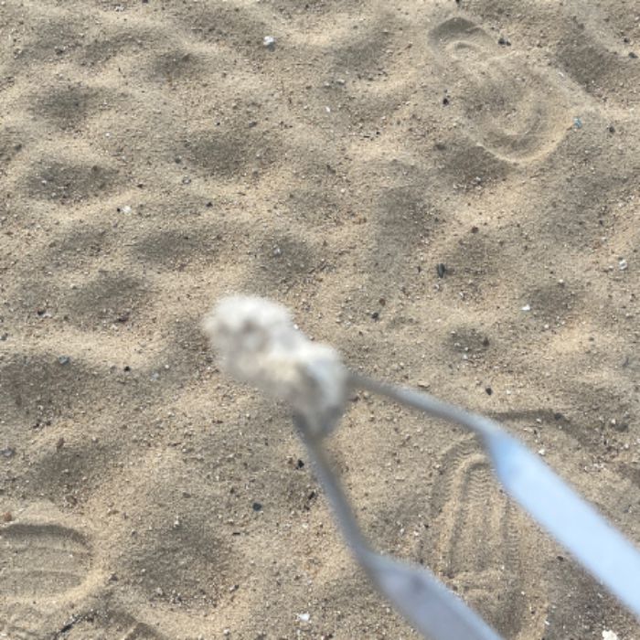 방아머리해변 정화 사진 5