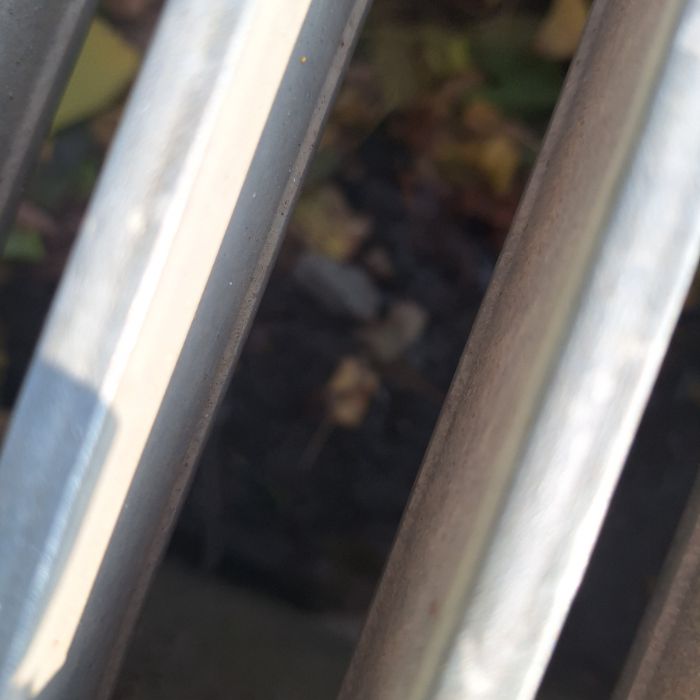  홍성군.동네.쓰레기.플로깅