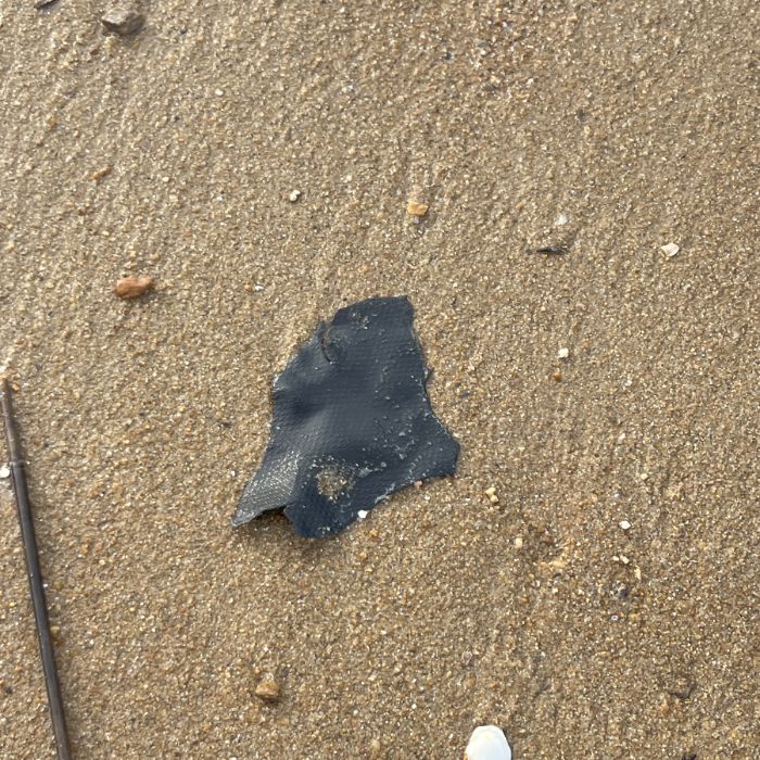 방아머리해변 정화 사진 3