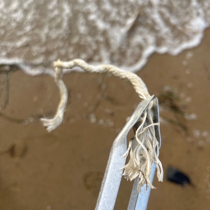 방아머리해변 정화 사진 4