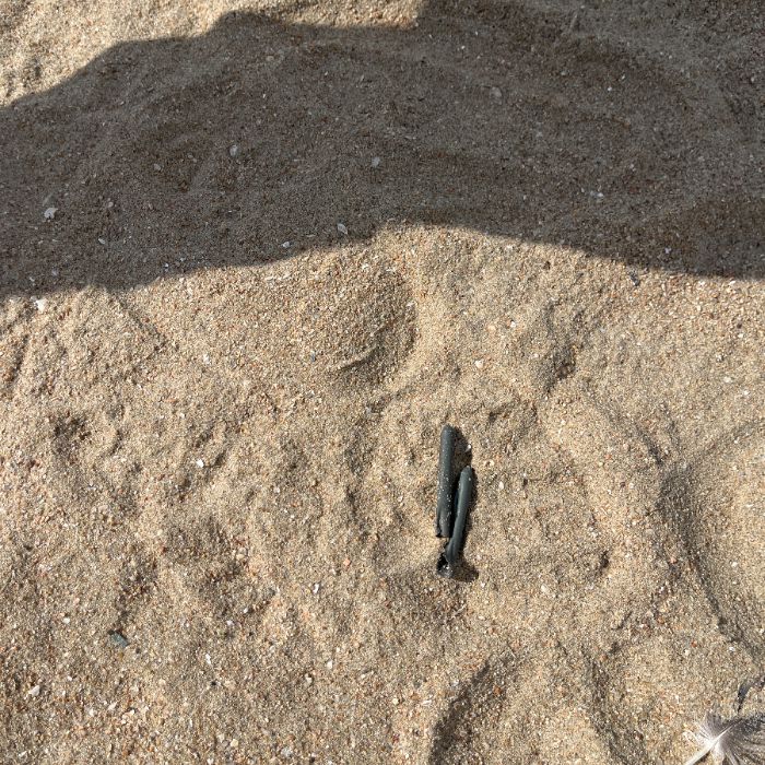 을왕리해변 정화 사진 5