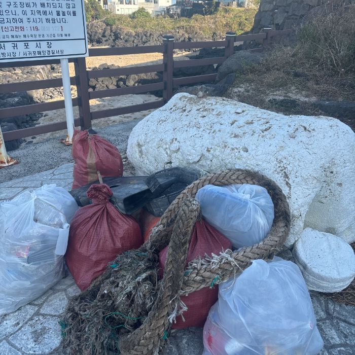 표선해수욕장 정화 사진