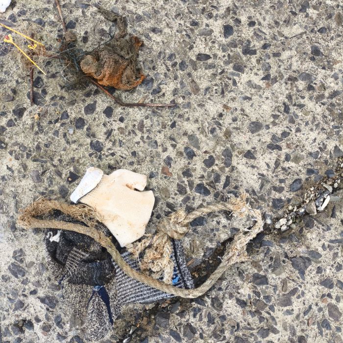 고온이해변 정화 사진 3