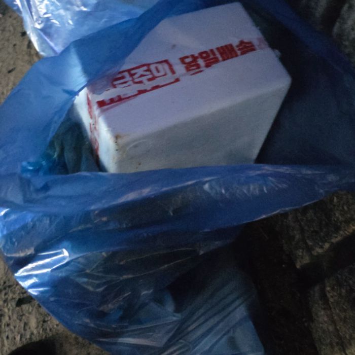 목포해양대학교 앞바다 정화 사진