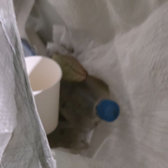유달유원지 해변 정화 사진