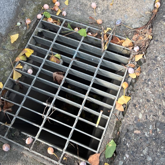  김천시.동네.쓰레기.플로깅