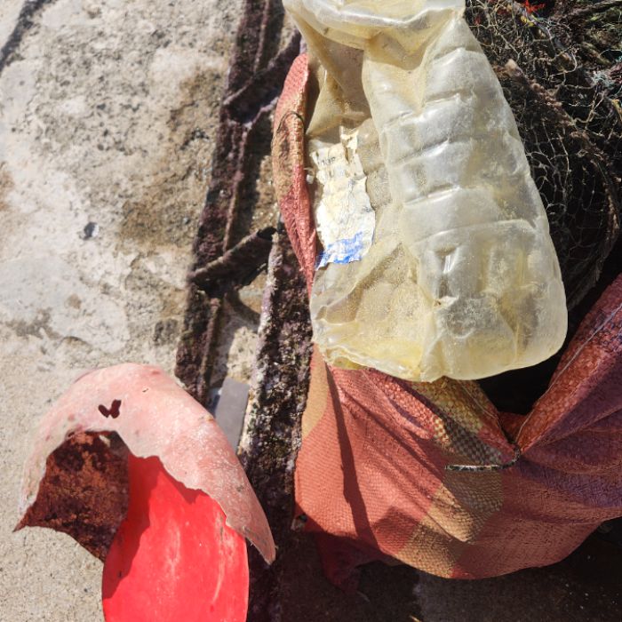  제주시.동네.쓰레기.플로깅