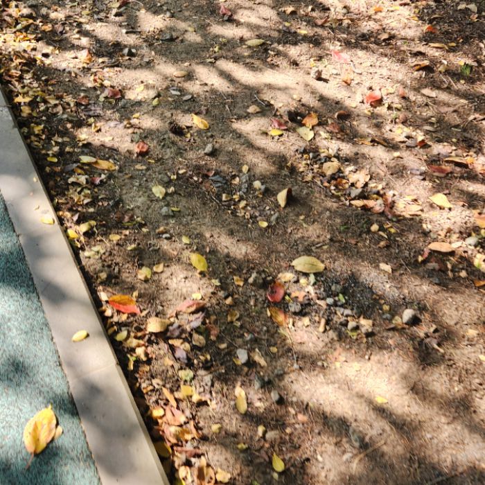  제주시.동네.쓰레기.플로깅