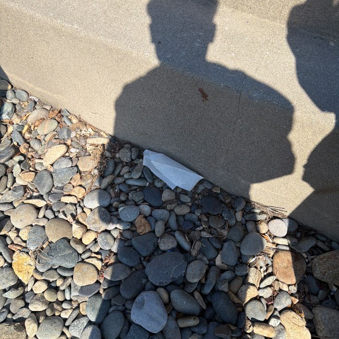 감지해변 정화 사진 3