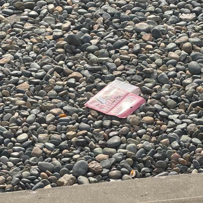 감지해변 정화 사진 3
