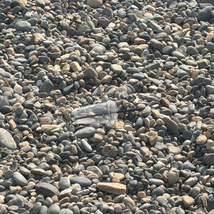 감지해변 정화 사진 5