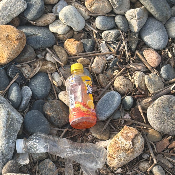 감지해변 정화 사진 7