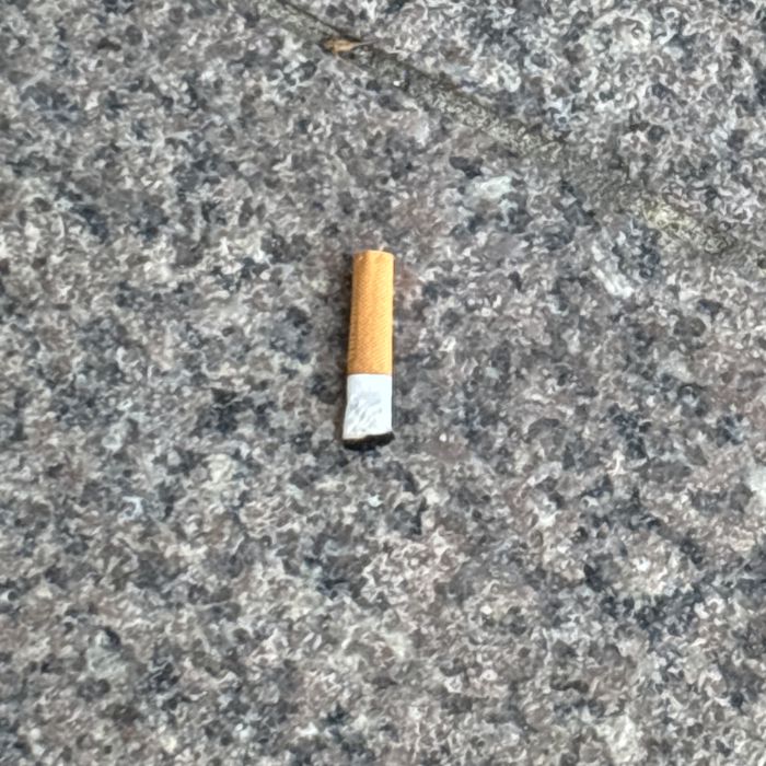 송도해수욕장 정화 사진 5