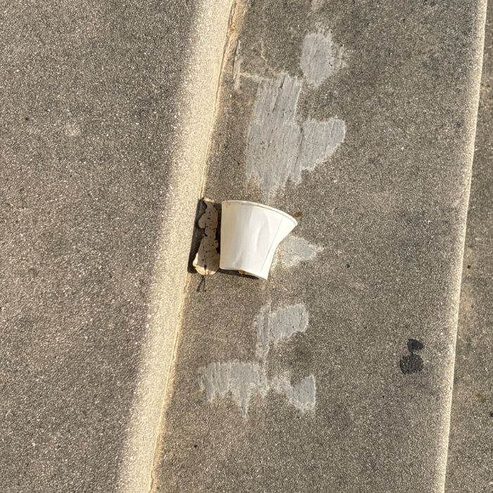 감지해변 정화 사진 2
