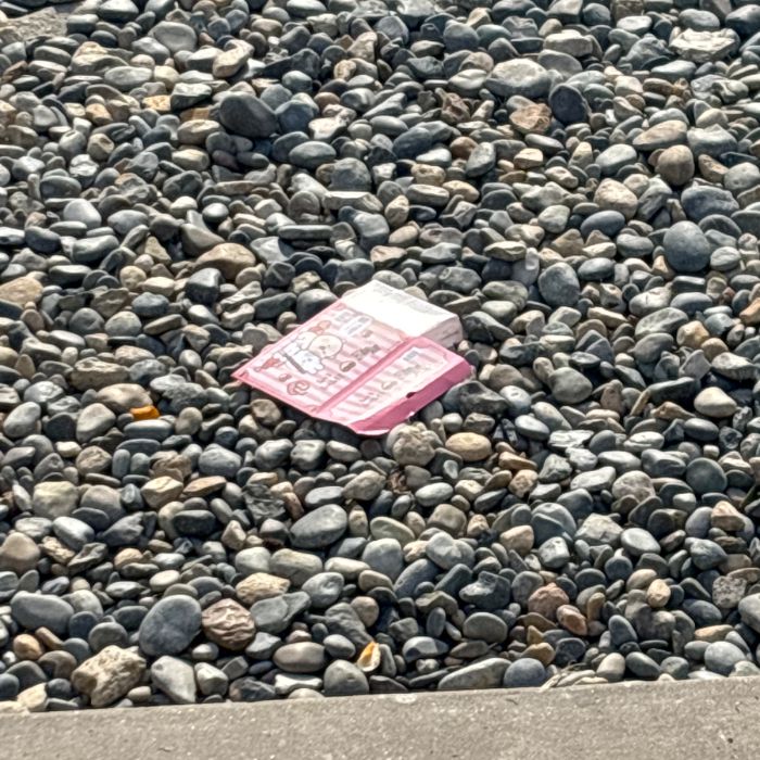 감지해변 정화 사진 3
