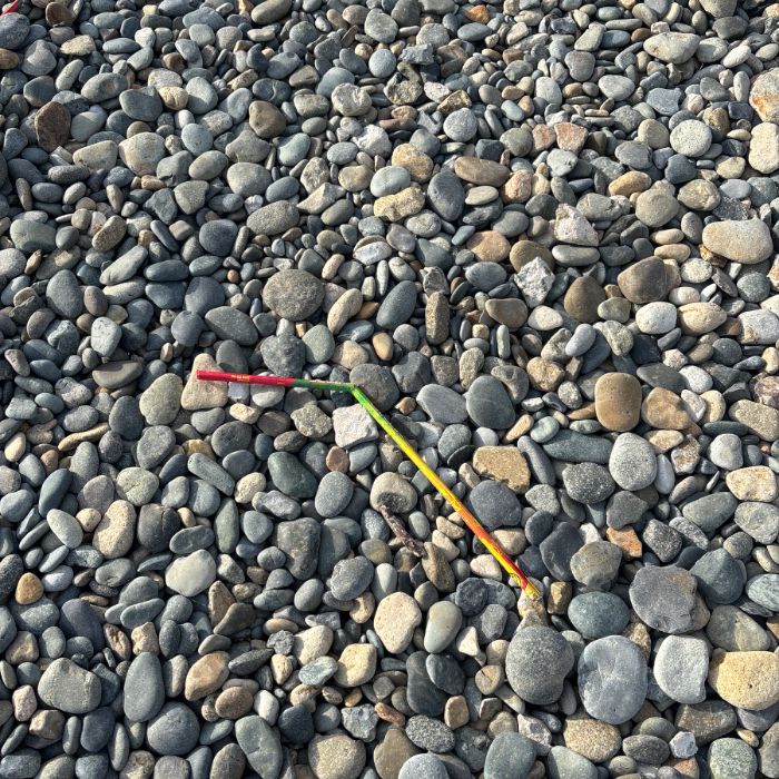 감지해변 정화 사진 5