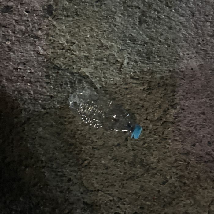 감지해변 정화 사진 7