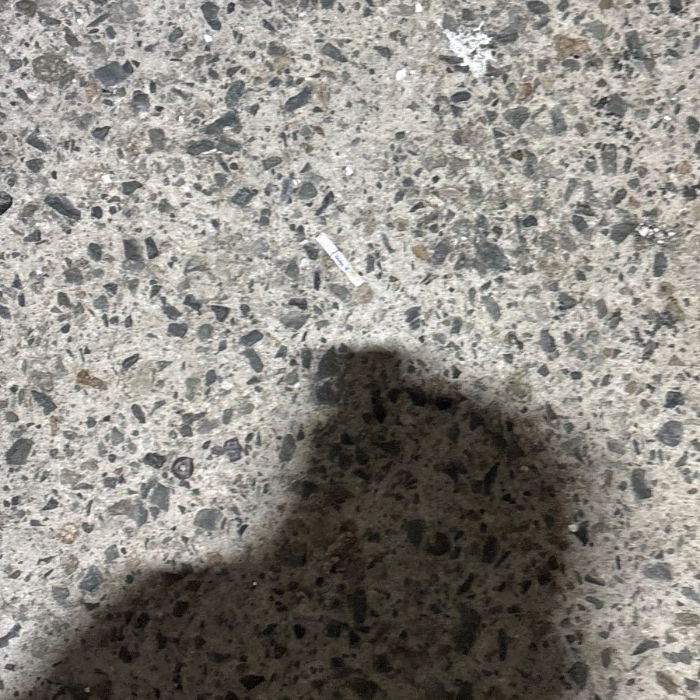 감지해변 정화 사진 12