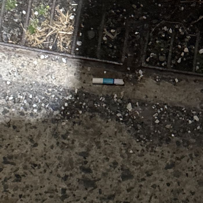 감지해변 정화 사진 13