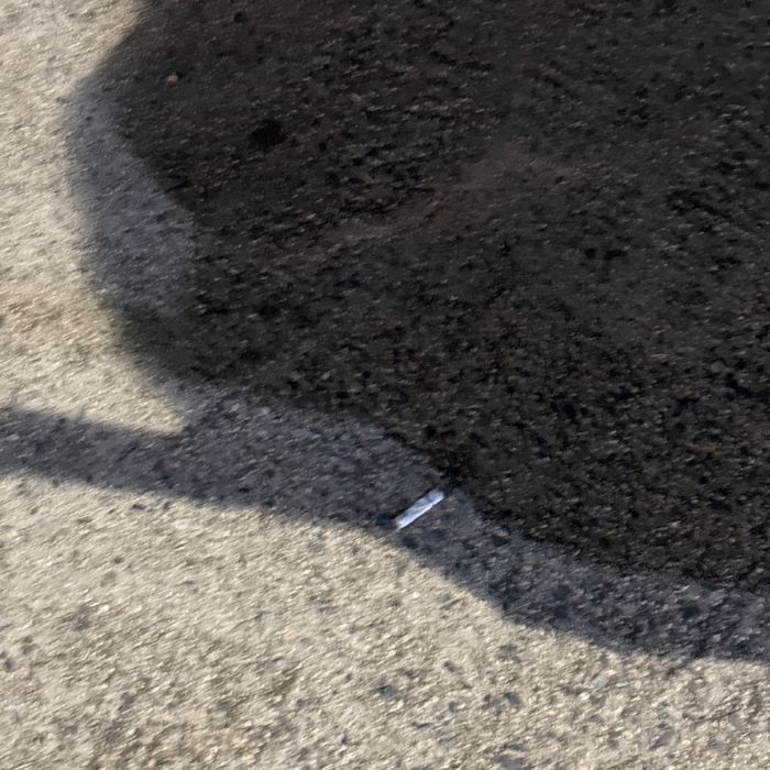 감지해변 정화 사진 15