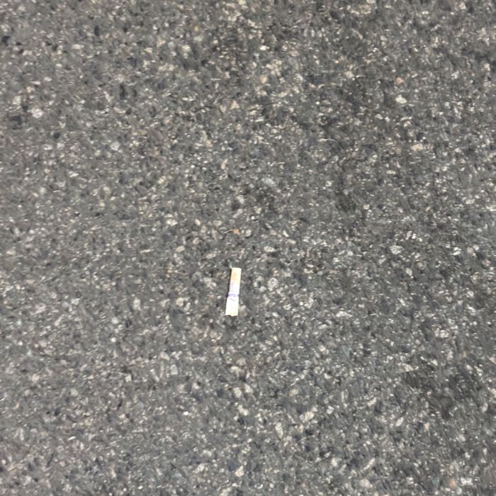 감지해변 정화 사진 16