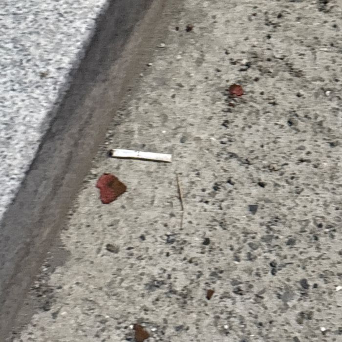 감지해변 정화 사진 17