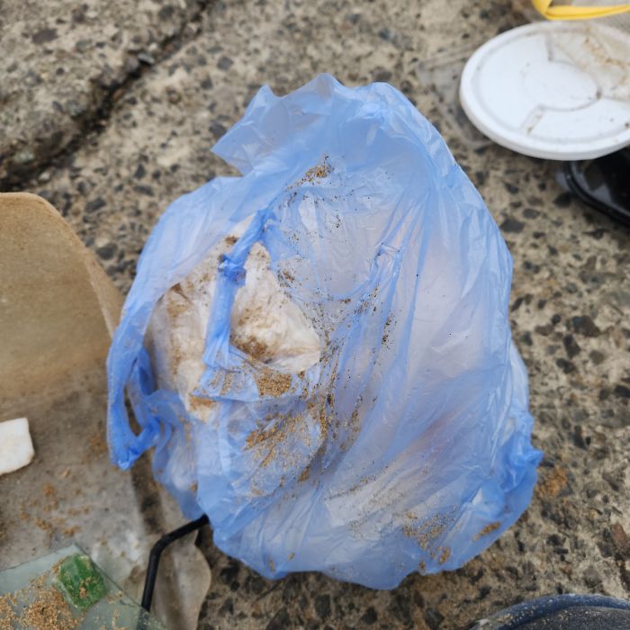 고온이해변 정화 사진 2