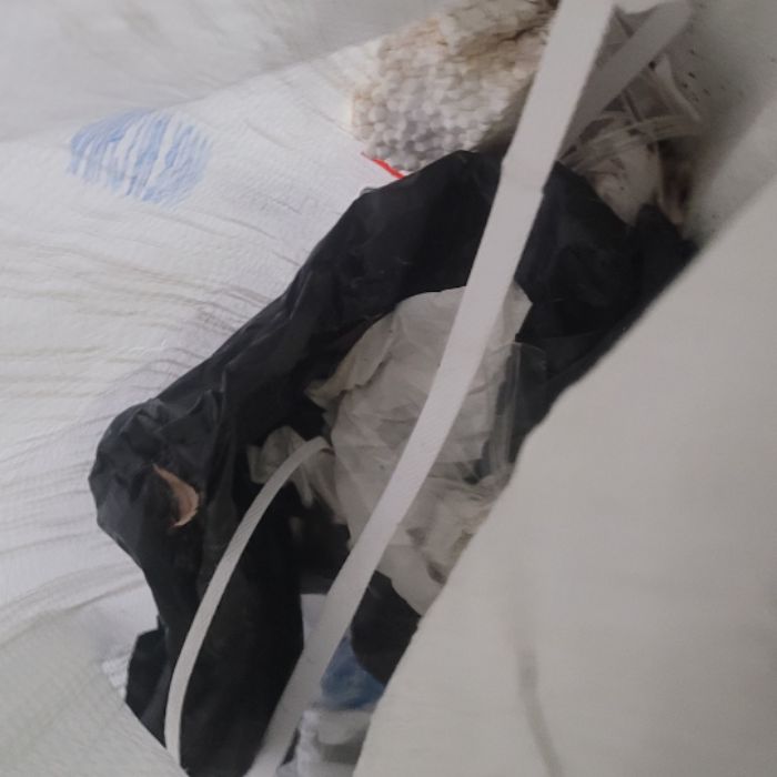 유달유원지 해변 정화 사진